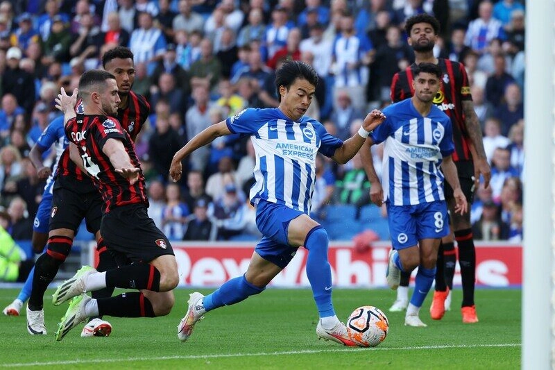 Brighton vs Bournemouth - Mòng Biển bay cao